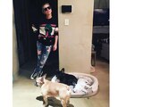 Roban perros de Lady Gaga a mano armada, paseador recibe disparos en el pecho