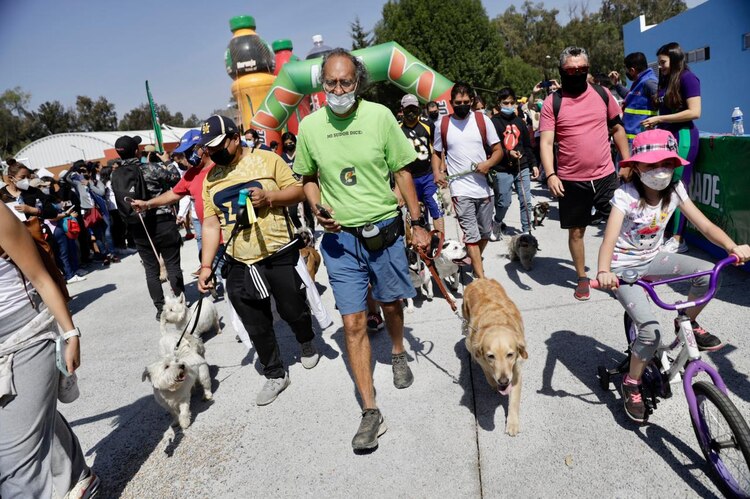 Maratón canino en Coyoacán
