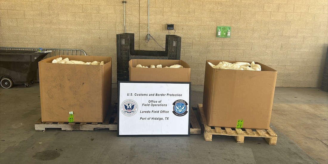 CBP asegura metanfetamina oculta en cargamento de apio fresco transportado desde Reynosa.