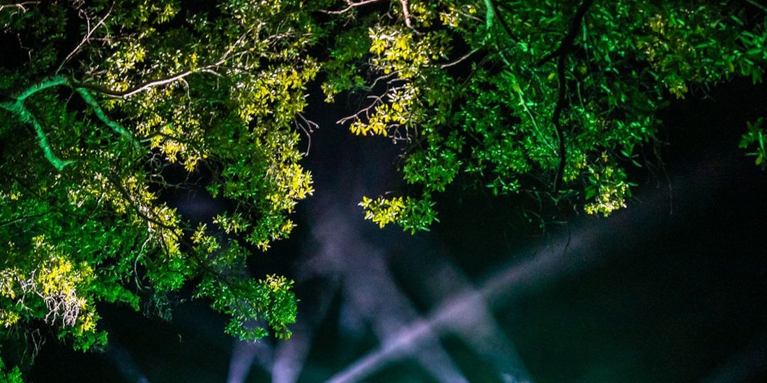 Bahidorá 2024: TODO el cartel del festival; vendrá Africa Express, proyecto de Damon Albarn