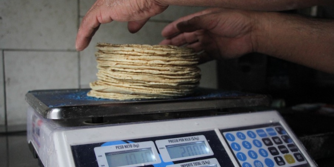Descartan alza al precio de la tortilla.