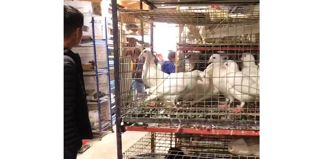EN el mercado de Sonora ya no se exhiben animales vivos desde ayer.