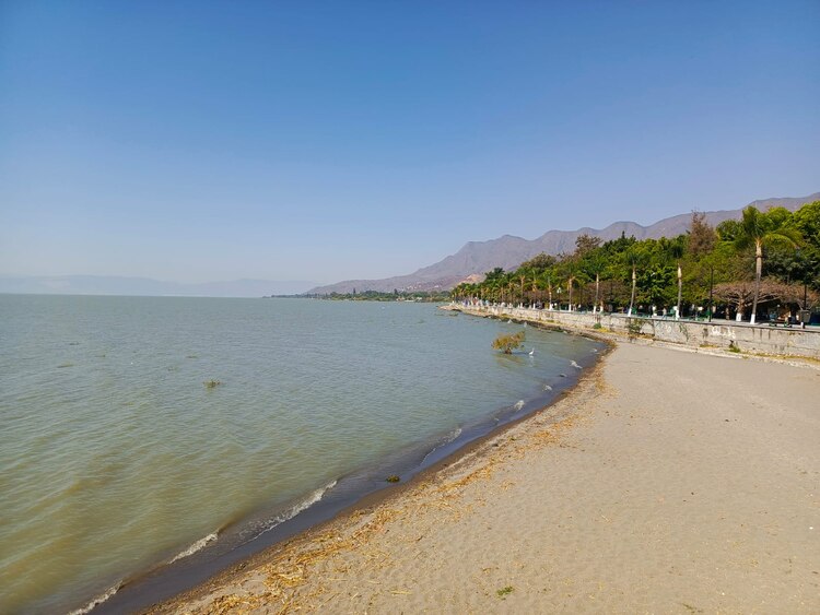 Chapala