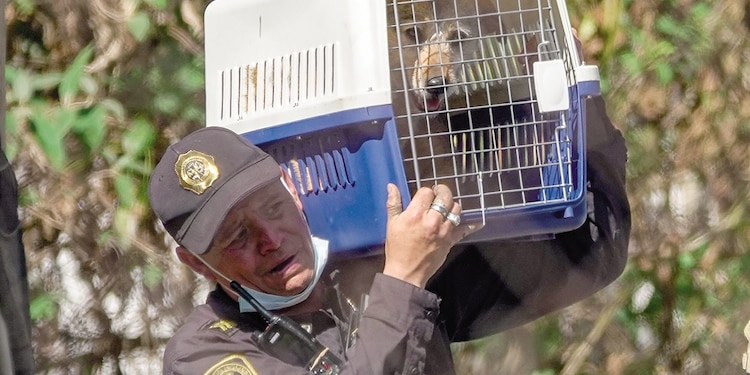 Elementos de la SSC desalojaron el Refugio Franciscano, el pasado 7 de enero.