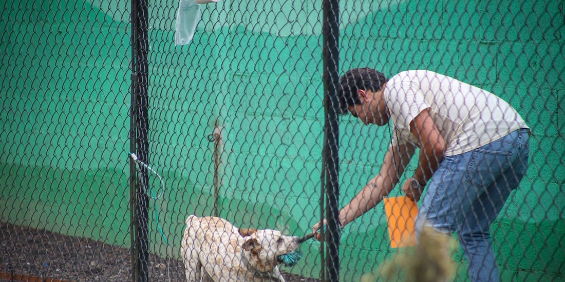 Alejandro juega con un perro del Centro de Transferencia Canina del Metro, el 26 de marzo.