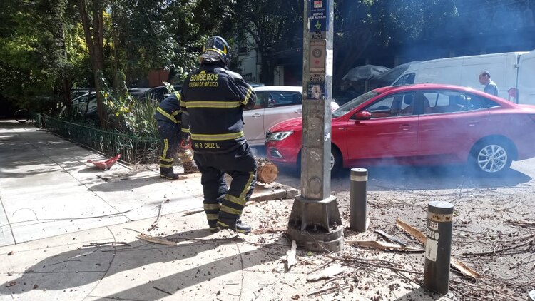 Las alcaldías con Alerta Amarilla son Gustavo A. Madero, Iztacalco, Magdalena Contreras y Venustiano Carranza, mientras que Iztapalapa, Milpa Alta, Tláhuac y Tlalpan tienen Alerta Naranja.