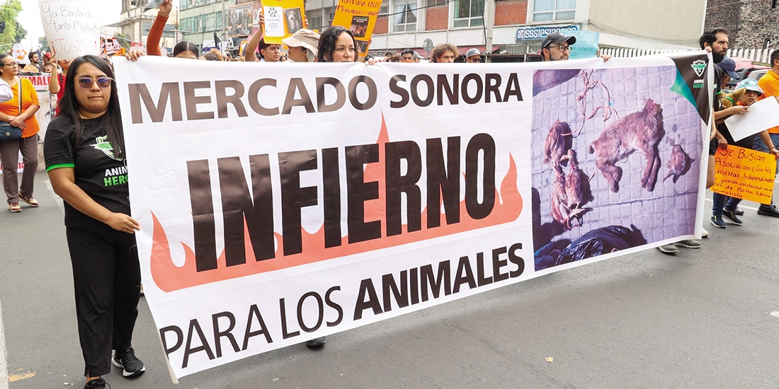 Animalistas protestan contra el maltrato animal en el mercado, en octubre.