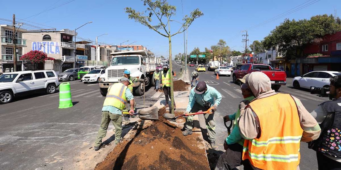 Las autoridades de la CDMX supervisarán que la reforestación beneficie también a zonas de Venustiano Carranza y Gustavo A. Madero.