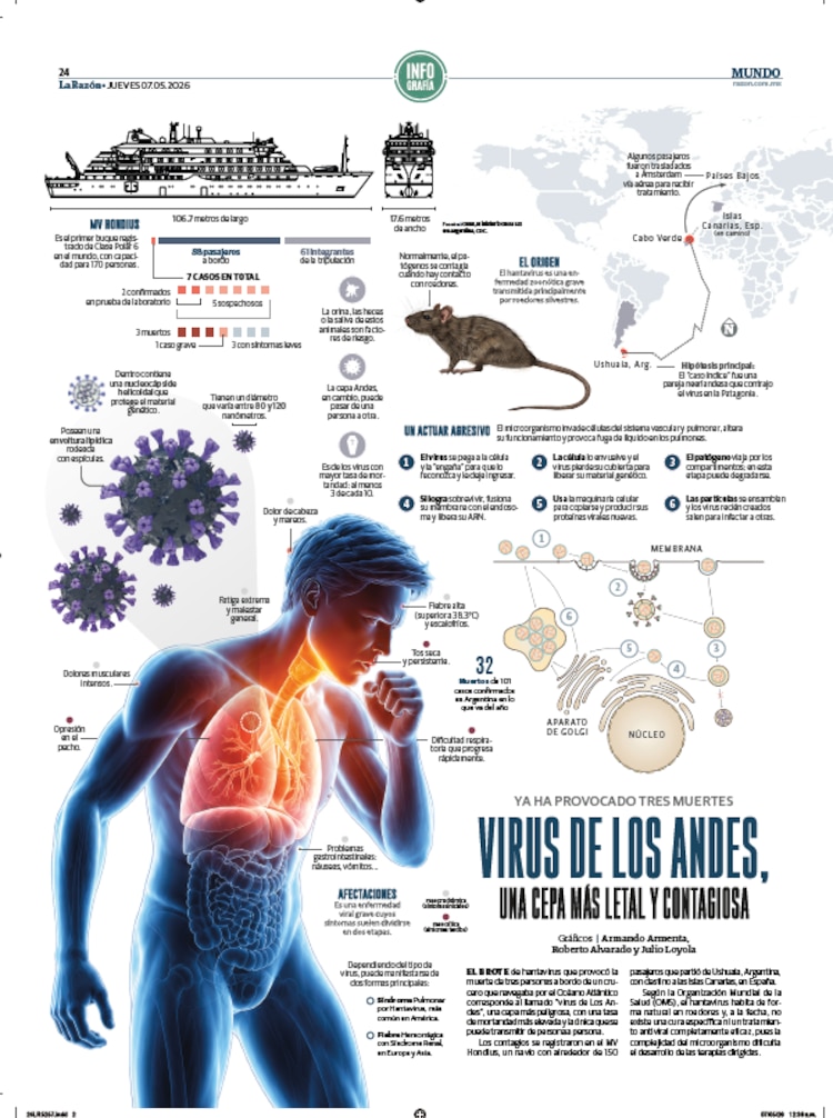 Virus de Los Andes, una cepa más letal y contagiosa