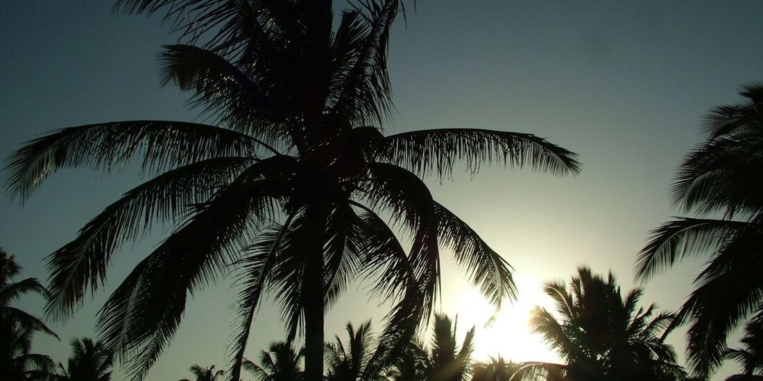 La medida estará vigente del 26 de marzo al 11 de abril, por lo que los malecones estarán cerrados tanto al tránsito vehicular como peatonal.