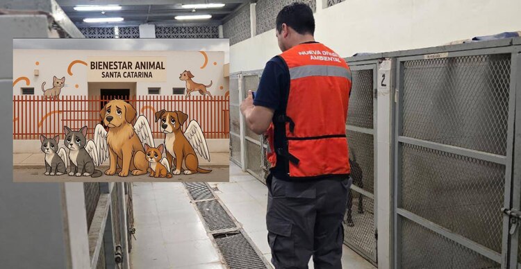 División Ambiental en el Centro de Bienestar Animal Santa Catarina