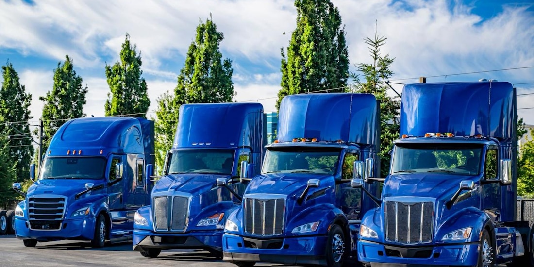 Unidades vehiculares pesadas.