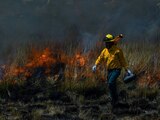 Hay 75 incendios forestales activos en México, reporta Conafor.
