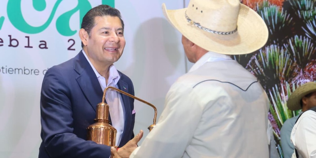 El gobernador de la entidad, Alejandro Armenta Mier, destacó que las familias agaveras protagonizan una verdadera transformación en el campo.
