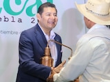 El gobernador de la entidad, Alejandro Armenta Mier, destacó que las familias agaveras protagonizan una verdadera transformación en el campo.