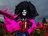 ¿Quieres celebrar Día de Muertos? Conoce 5 pueblos mágicos a donde ir