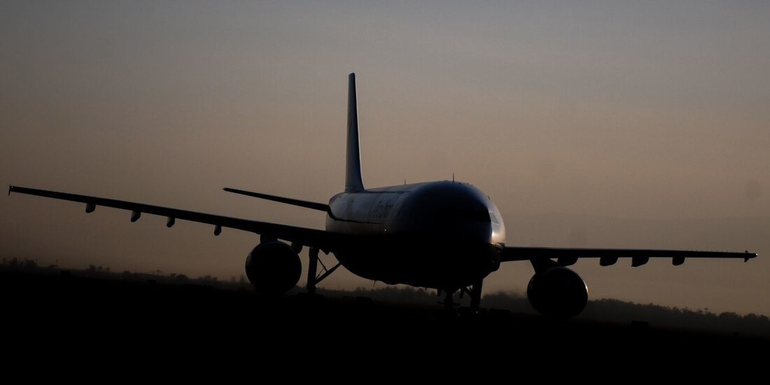 En el avión comercial viajaba el periodista y bloguero Roman Protasevich, crítico del mandatario reelecto.