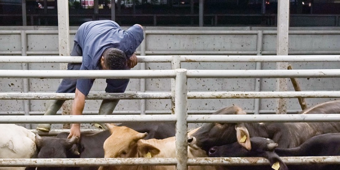 La Sader reforzó a inicios de noviembre las medidas sanitarias en el sur del país.