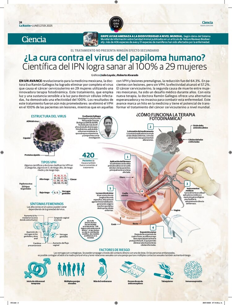 Virus del papiloma humano