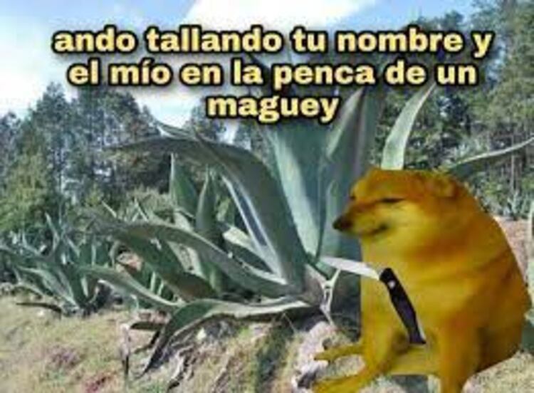 Estos son TODOS los memes con los que recordaremos para siempre a ...