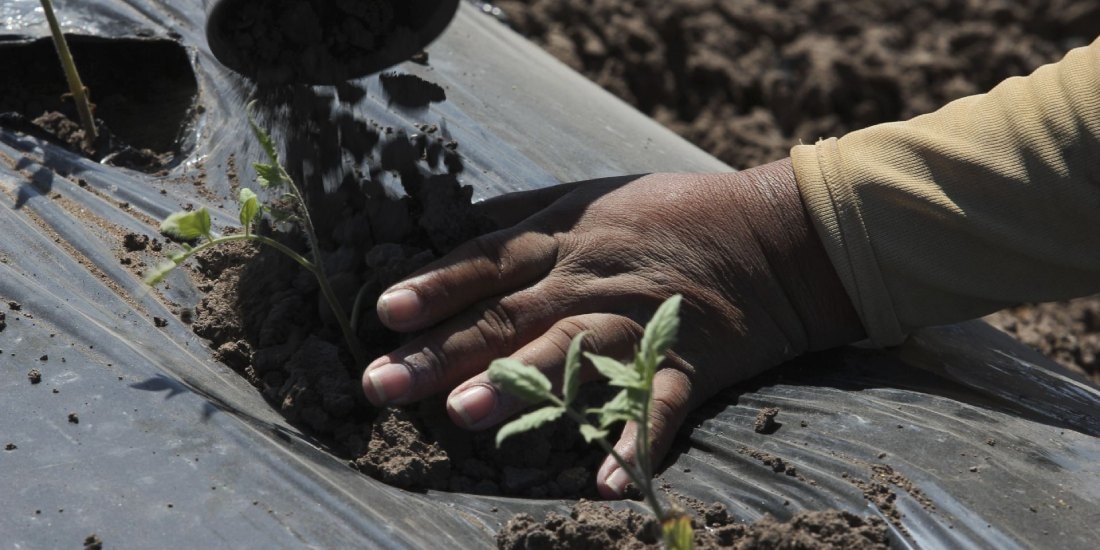 Revisan prioridades del Programa de Trabajadores Agrícolas Temporales México-Canadá.