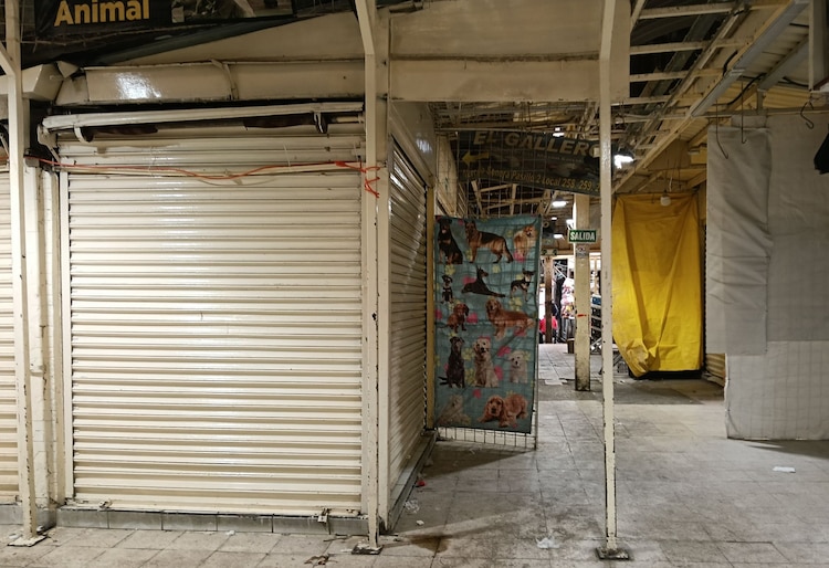 Comerciantes del Mercado Sonora tienen prohibido vender animales