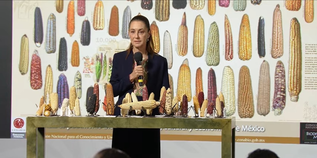 La Presidenta de México este lunes en Palacio Nacional.