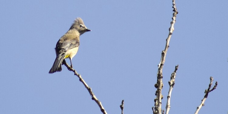 2 de cada 10 mujeres en Iztapalapa enfrentaron el acoso sexual en 2024