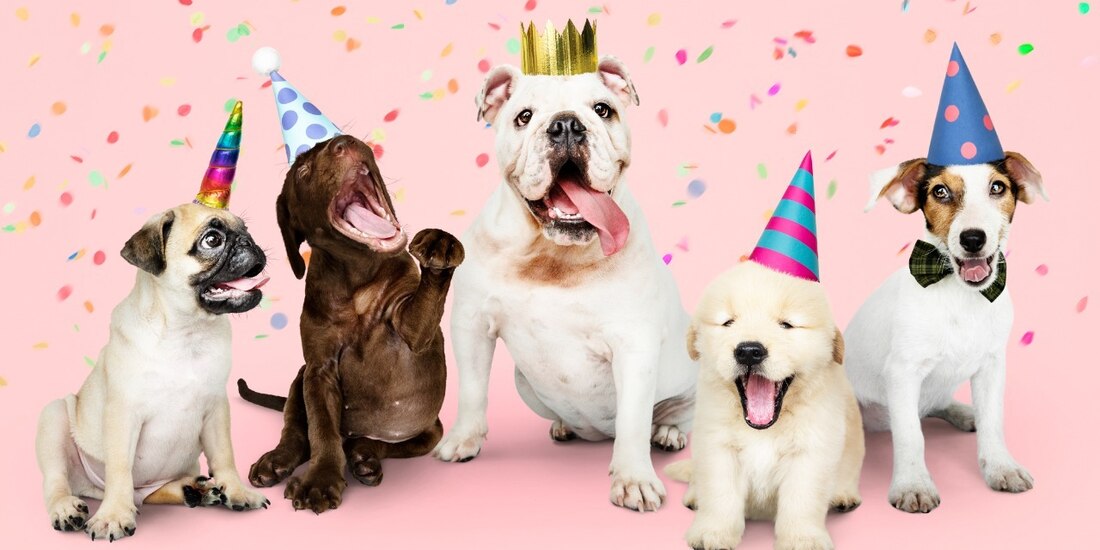 Lleva a tus mascotas a la Feria del Bienestar Animal en Ecatepec; habrá bazar, área de comida y estas actividades para que se diviertan.