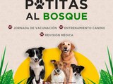 En el 1er Festival Patitas al Bosque se presentará Fernando Delgadillo.