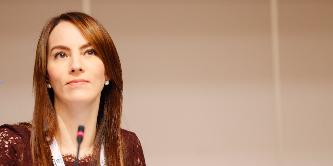 Diputada Gabriela Cuevas