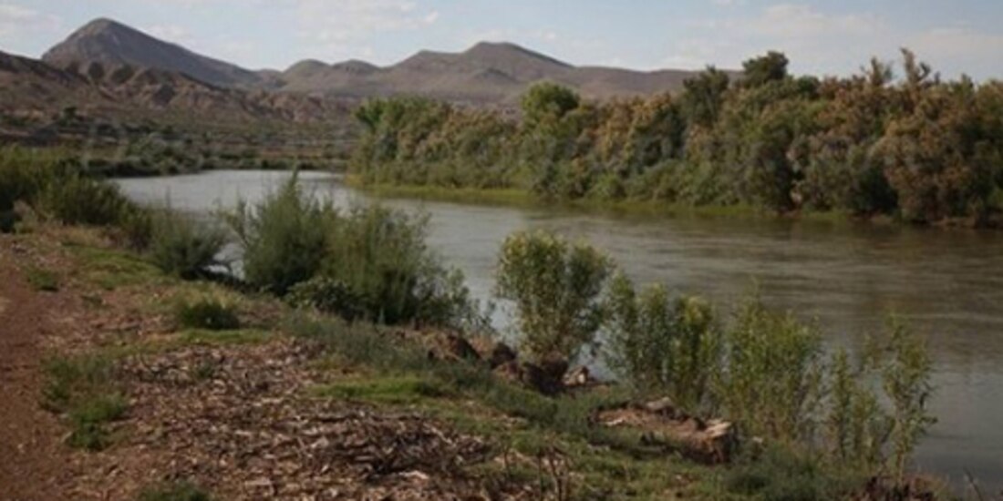 La Secretaría de Relaciones Exteriores informó que dará seguimiento al caso