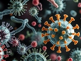 ¿Qué es el virus Shamonda?