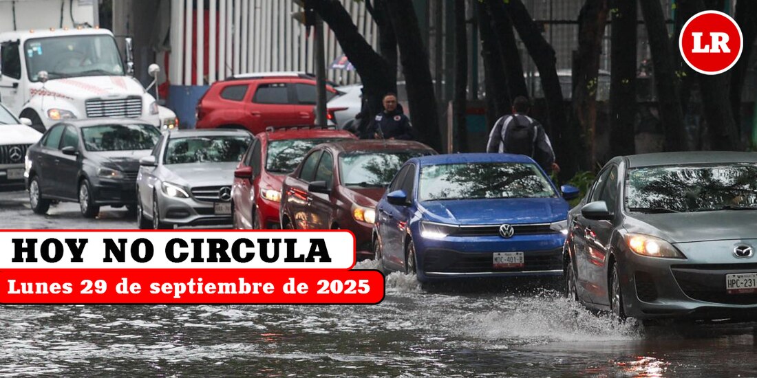 Te decimos qué autos sí pueden circular este lunes en la Ciudad de México y el Estado de México.