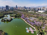 En una toma aérea, una fotografía ilustrativa de la Segunda Sección del Bosque de Chapultepec.