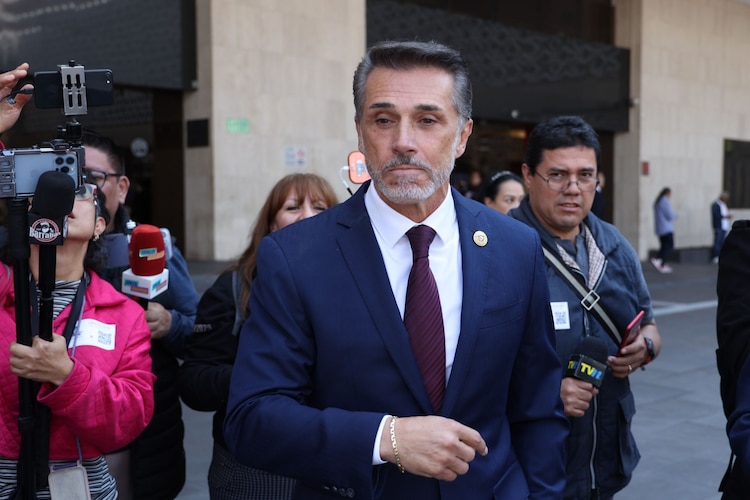 El diputado Sergio Mayer
