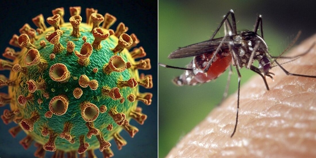 ¿El virus oropouche llegó a México? Esto se sabe