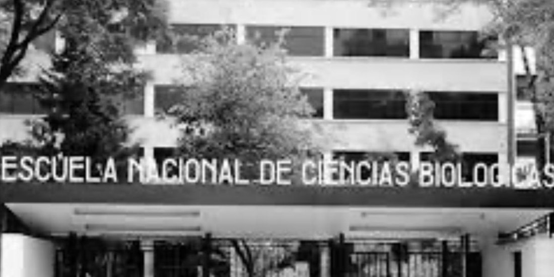 Académicos del Instituto Politécnico Nacional hicieron públicas las irregularidades detectadas en las solicitudes de propiedad industrial.