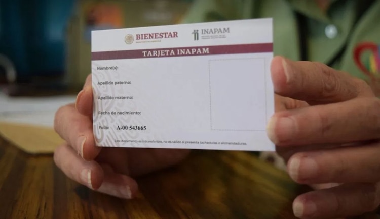 Aspecto de la credencial Inapam.