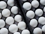 Escasez de huevo en EU dispara aquí su costo 23%