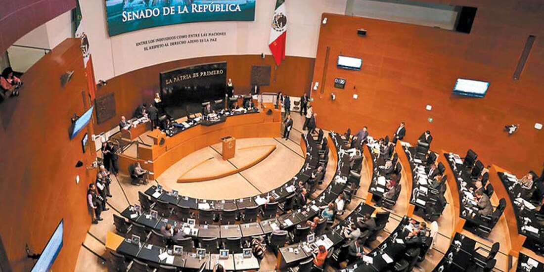 La priista Claudia Anaya demandó a la titular de la CNDH, Rosario Piedra, que se deje arropar por los especialistas que están comprometidos con el apoyo a las víctimas