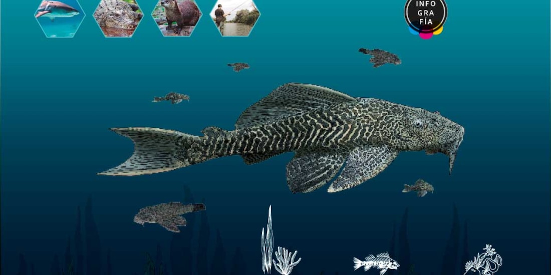 Ecosistemas acuáticos