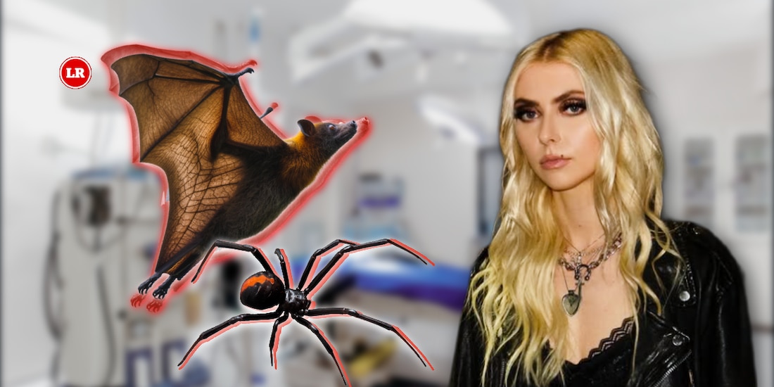 Taylor Momsen: Estos son los ataques de araña y murciélago que la llevaron al hospital