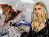 Taylor Momsen: Estos son los ataques de araña y murciélago que la llevaron al hospital