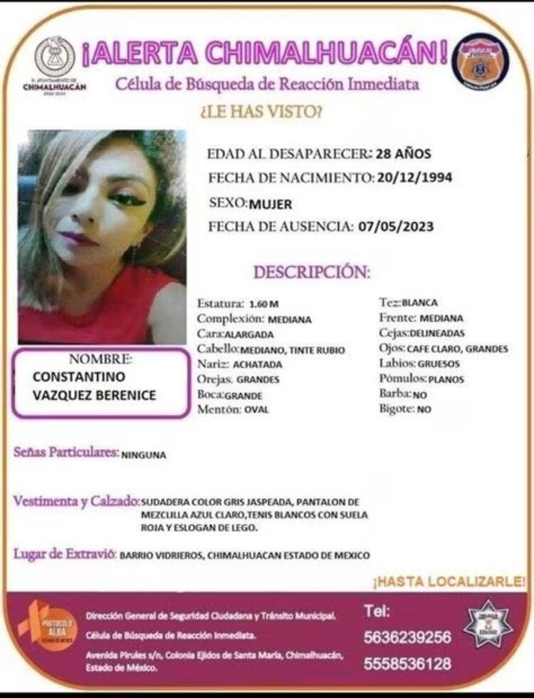 Ficha de búsqueda de Berenice Constantino.