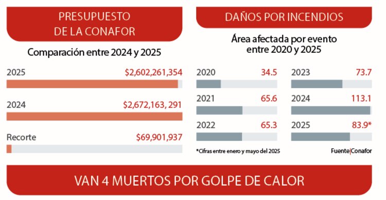 Presupuesto de la Conafor │ Daños por incendios