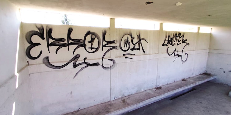 Los dugouts tienen un olor a orines y están grafiteados.