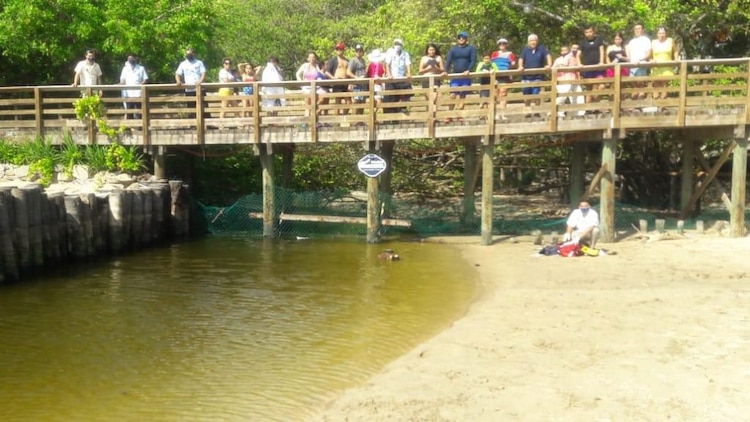 Los familiares del niño no estaban con él al momento del ataque.
