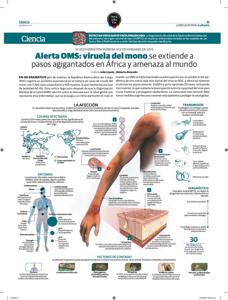 Alerta OMS: viruela del mono