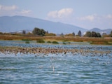 Lago de Texcoco